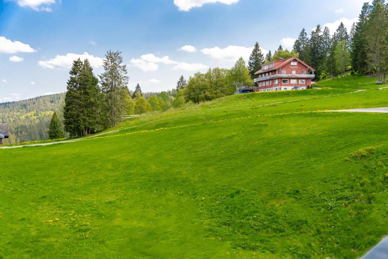 Auerhuhn Appartement Feldberg  Buitenkant foto